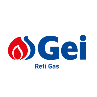 Logo Gei
